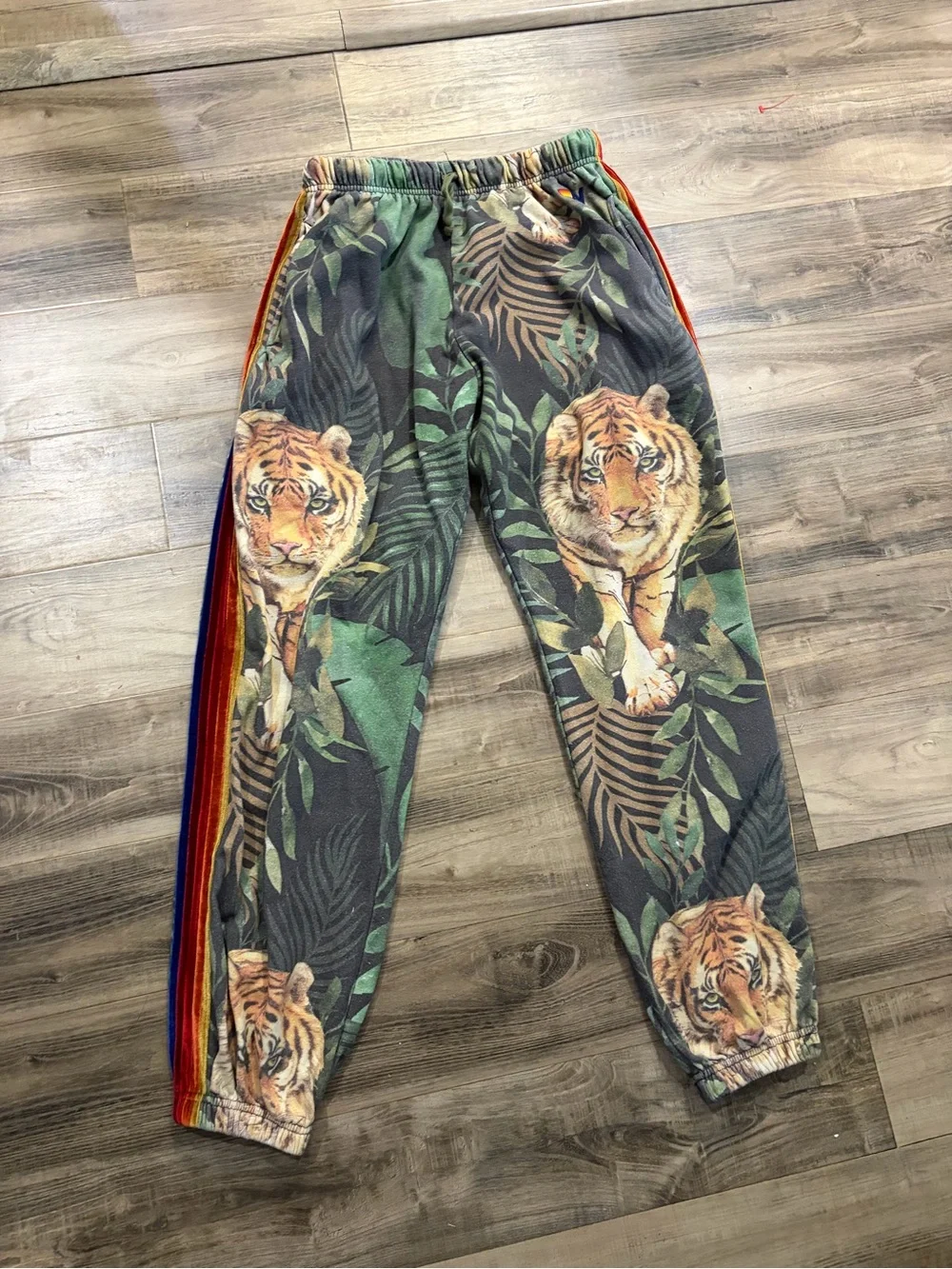 Aviator Nation Velvet Tiger Jungle Rainbow Stripe Jogger Sweatpants  Super Rare - Picture 2 of 12